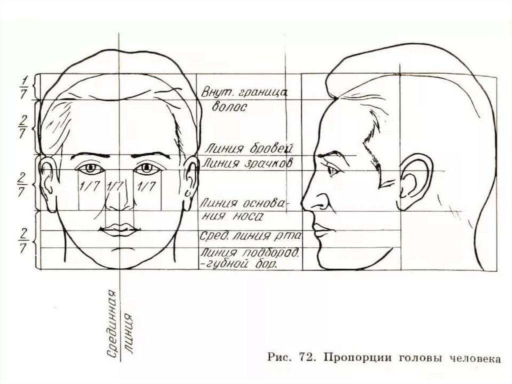 Портрет план 2 части