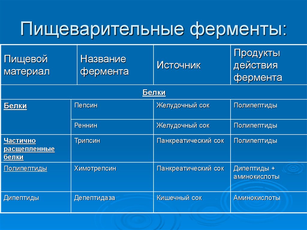 Ферменты пищеварительной системы схема