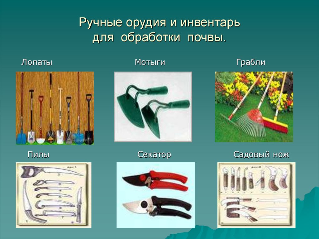 Инструменты для огорода и дачи названия и фото с описанием
