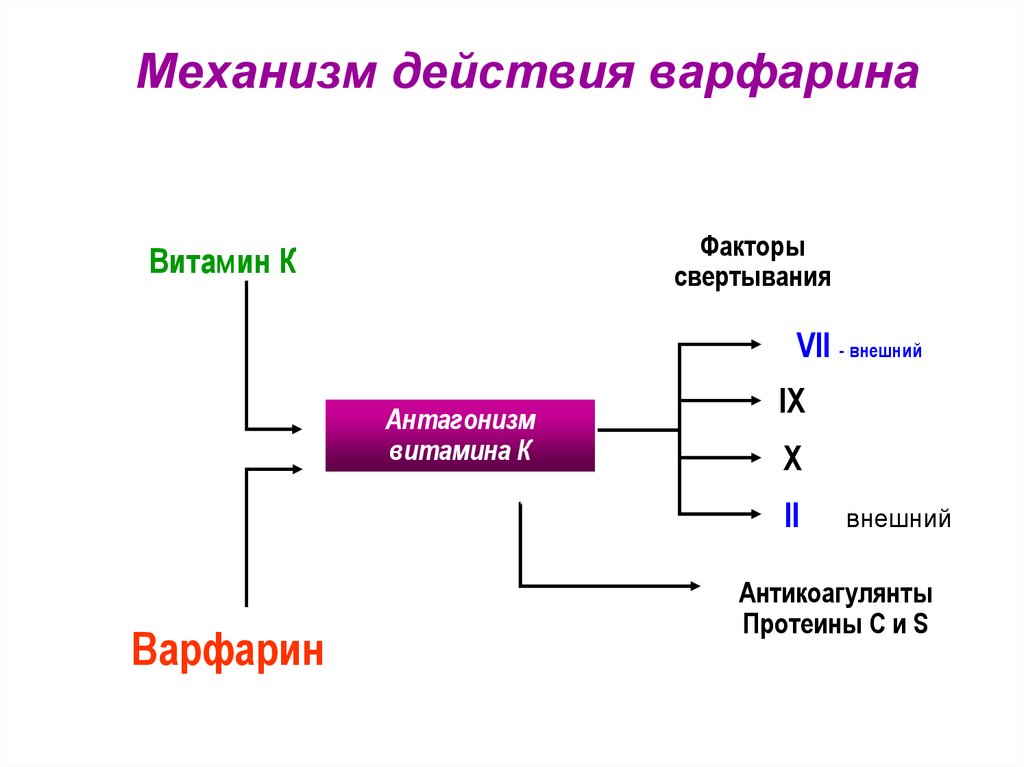 Механизм действия варфарина