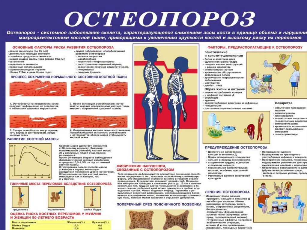 Профилактика остеохондроза презентация