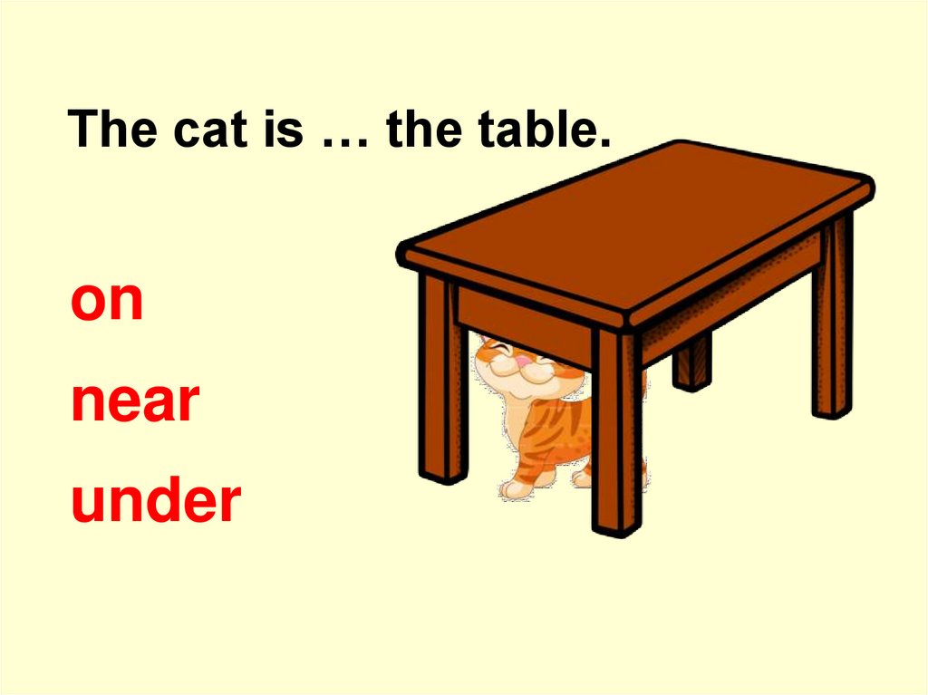 Under the table