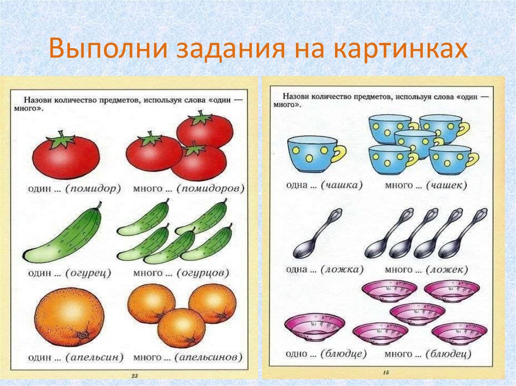 Единственное и множественное число картинки