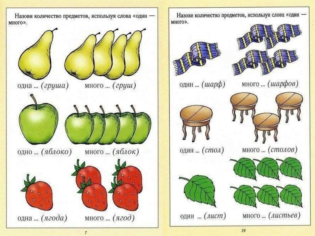 Единственное число и множественное число картинки