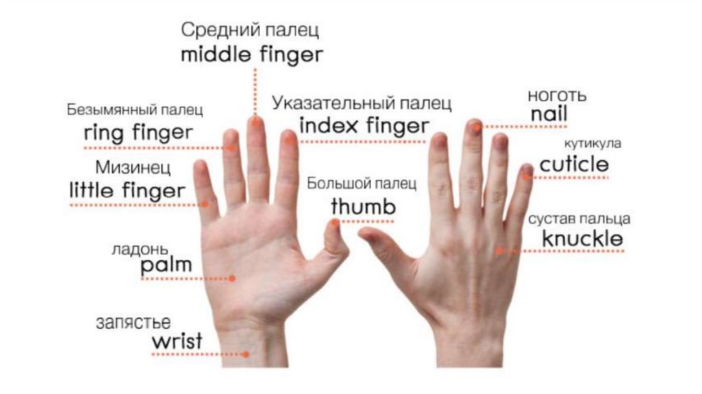 Fingers hard