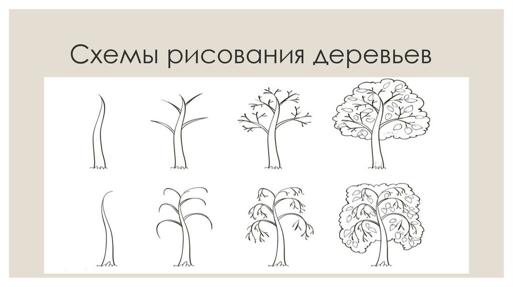 Схемы рисования деревьев для дошкольников поэтапно