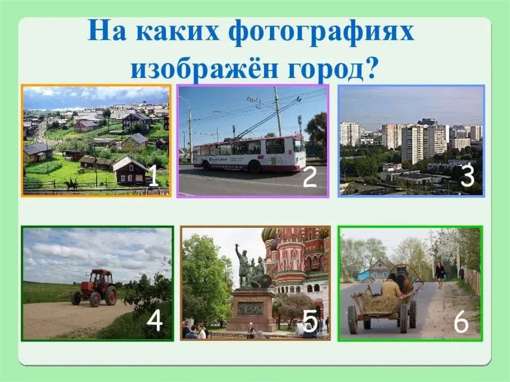 Проект жизнь в городе и в деревне