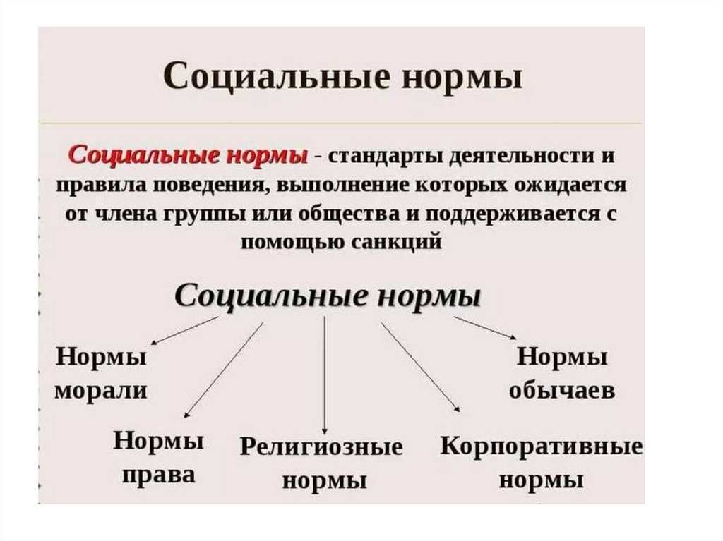 Какой вид социальных норм могут иллюстрировать действия людей изображенных на фотографии