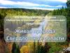 Животный мир Свердловской области