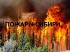 Пожары Сибири