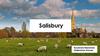 Salisbury. The history of the city