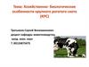 Хозяйственно- биологические особенности крупного рогатого скота