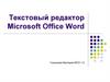 Текстовый редактор Microsoft Office Word