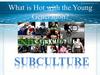 Why do teens join subcultures?