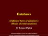 Databases (Different types of databases) (Model of entity relations)
