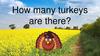 How many turkeys are there_- To Share