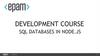 Development course SQL databases in node