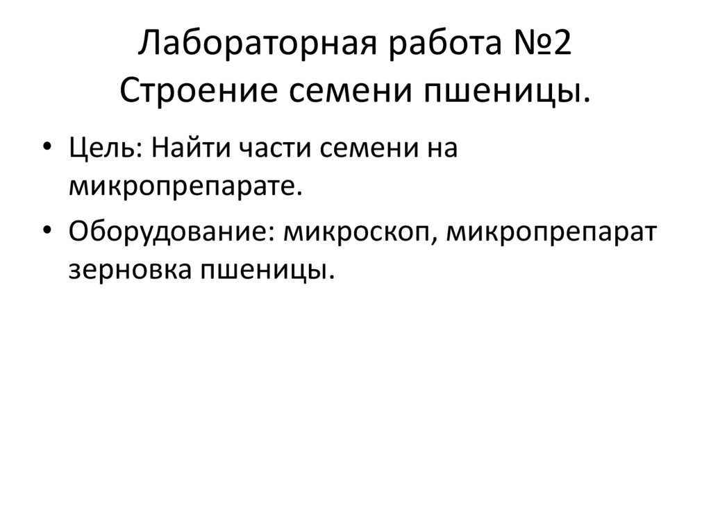 Лабораторная работа строение пшеницы 7 класс биология