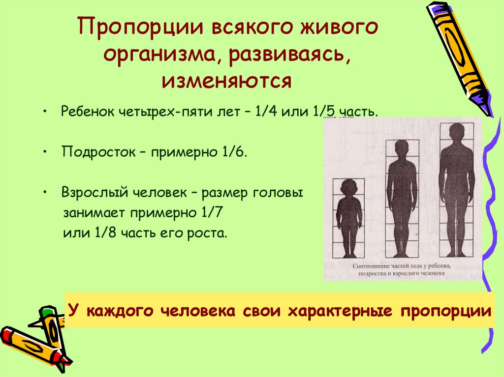 Пропорции всякого живого организма, развиваясь, изменяются