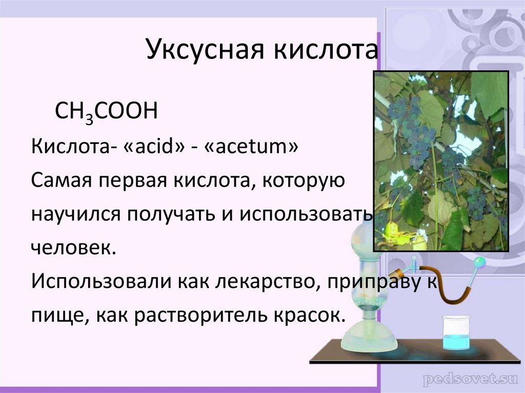 Уксусная кислота