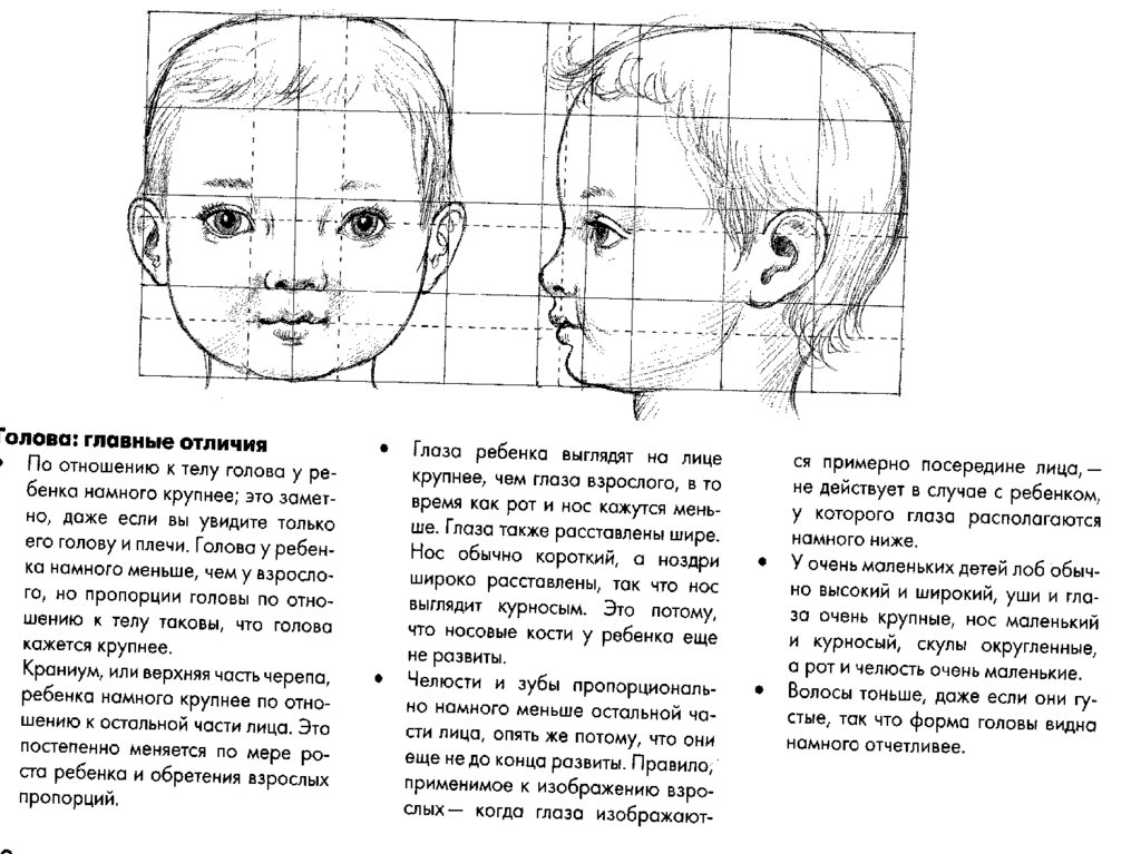 У взрослого размер головы занимает. У ребенка маленькая голова по отношению к телу. Маленькая голова по отношению к телу. У ребенка в 12 лет маленькая голова по отношению к телу.