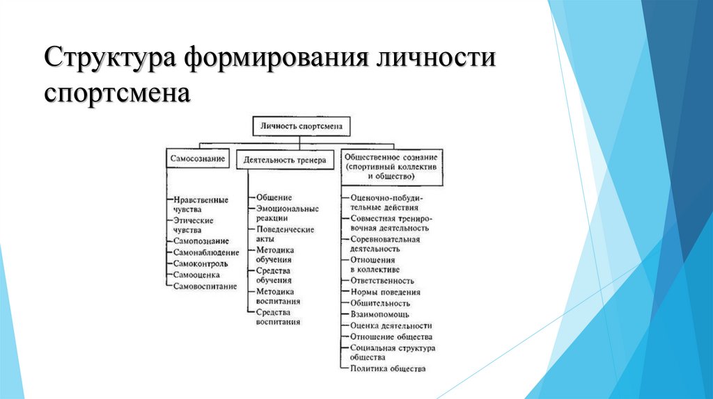 Структура формирования личности спортсмена