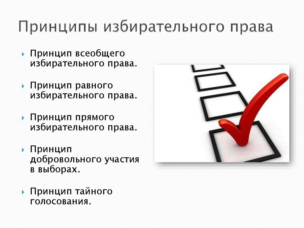 4 принципа выборов