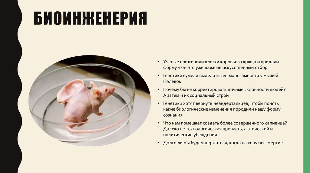 биоинженерия