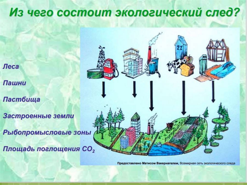 Эколог след. Из чего состоит экологический след. Экологический след презентация. Экологический след схема. Составляющие экологического следа.