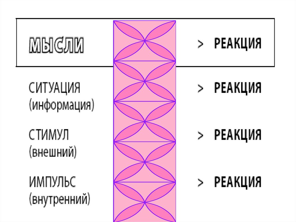 Дисциплина без стресса - online presentation