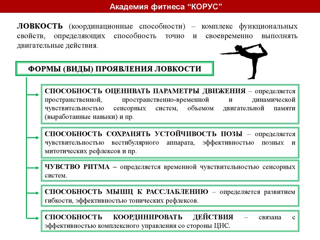 Теория бодибилдинга - презентация онлайн