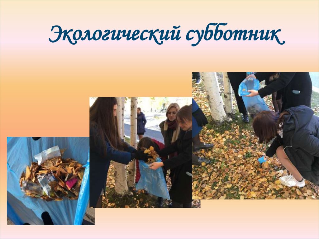 Экологический субботник