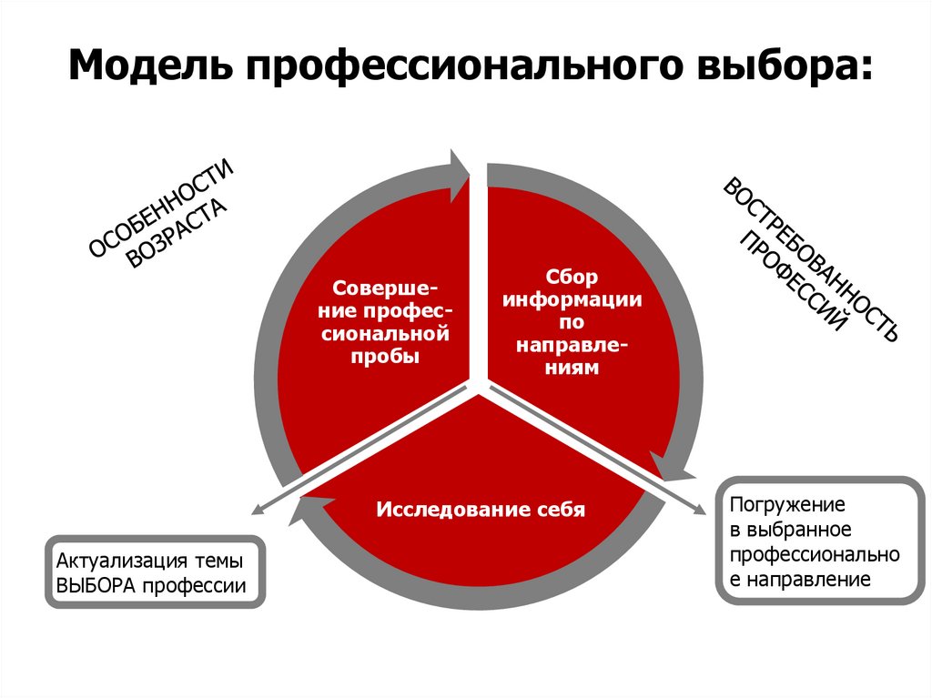 Профессиональные выборы это