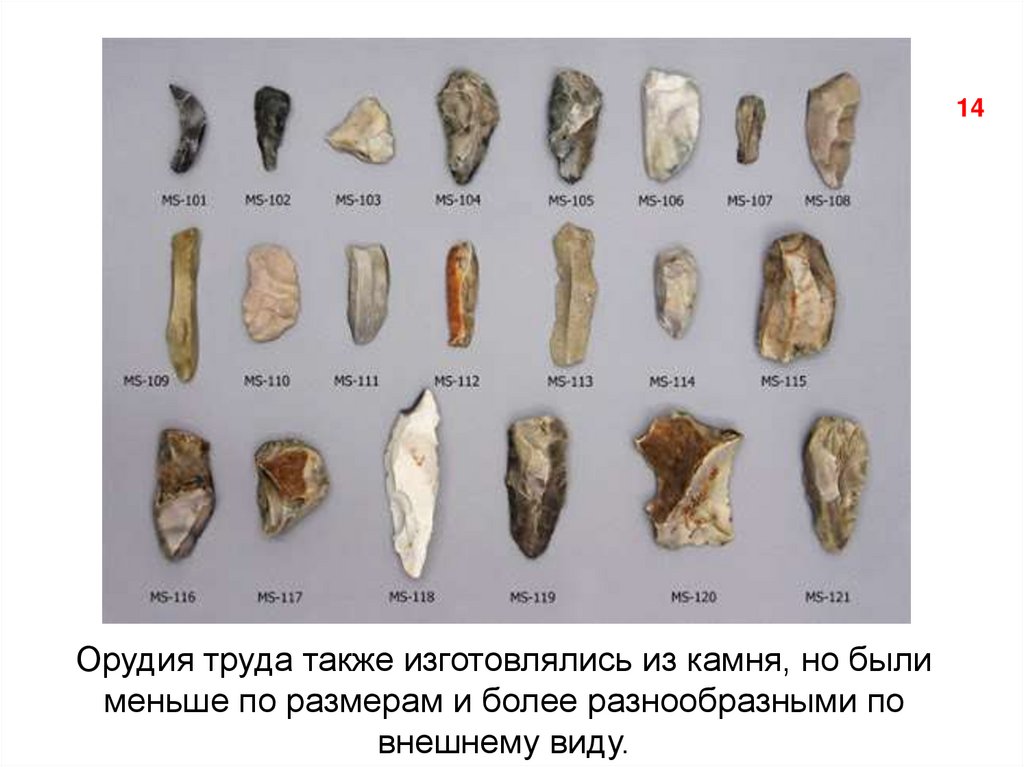 Орудие труда обработанное методом унифас. Homo habilis орудия труда. Homo habilis древнейшие каменные орудия. Остроконечник Мустье. Палеолит Мустье.