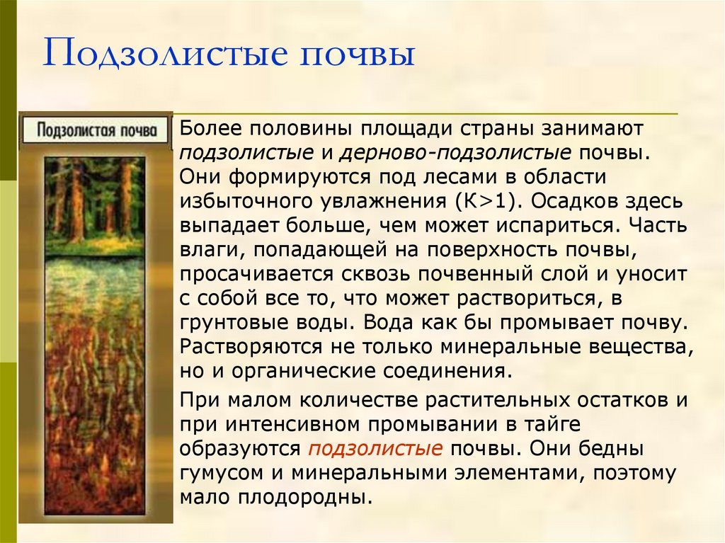 Характеристика подзолистых почв. Дерново-подзолистые почвы 4 класс окружающий мир. Особенности подзолистых почв. Окружающий мир 4 класс подзолистые почвы характеристика почвы. Доклад про подзолистые почвы.