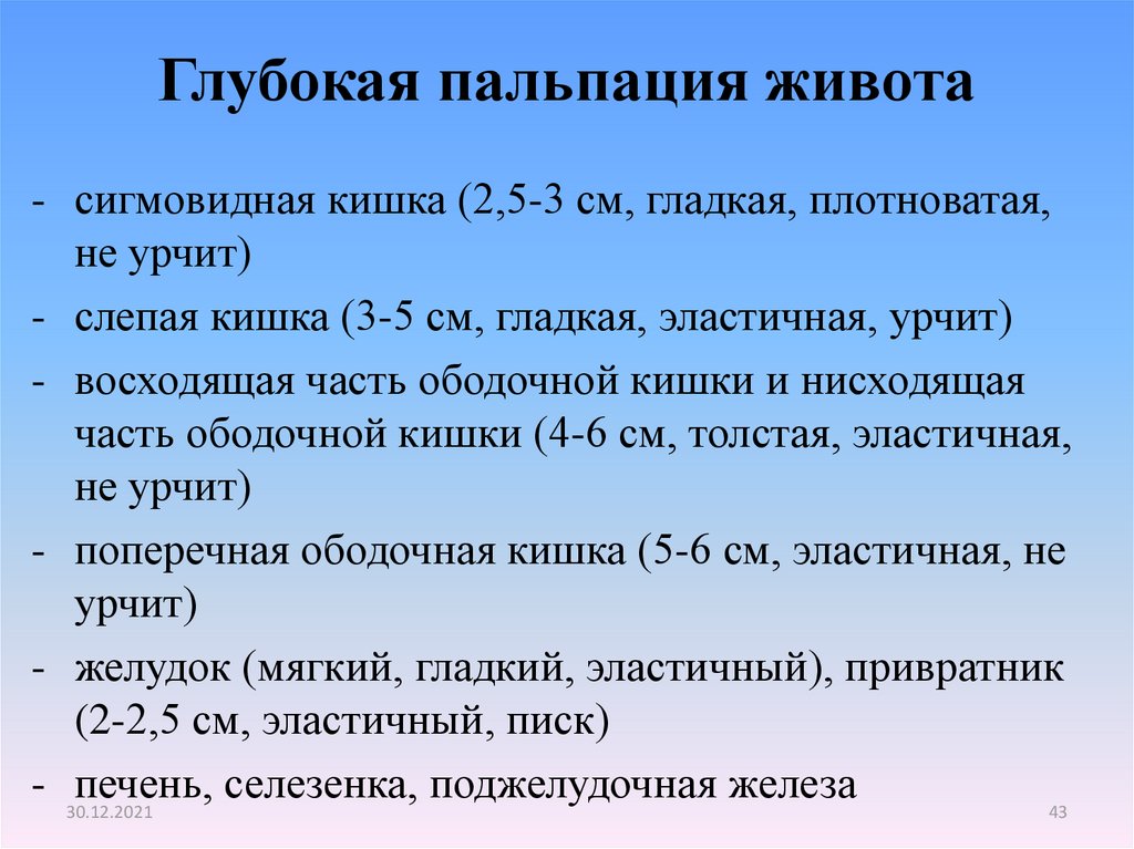 В норме находится в. Пальпация кишечника по Образцову Стражеско алгоритм. Методика глубокой пальпации живота. Глубокая пальпация живота заключение.