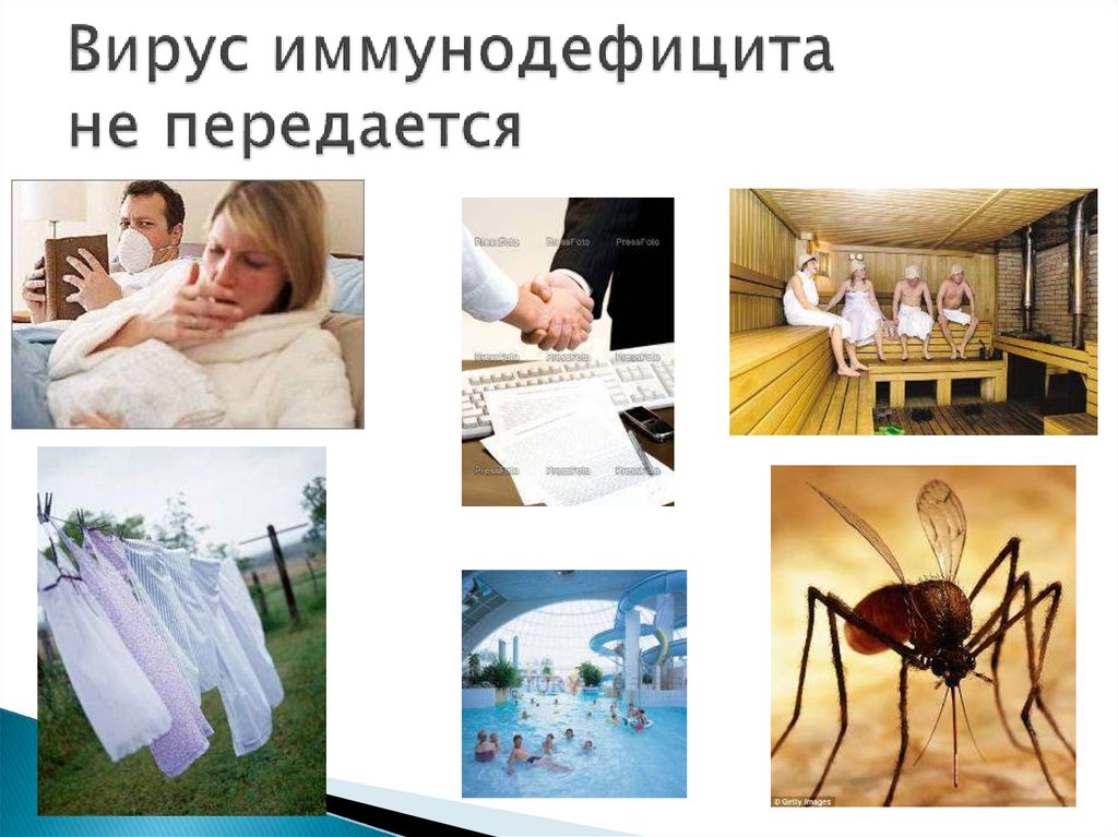 Вирус иммунодефицита не передается