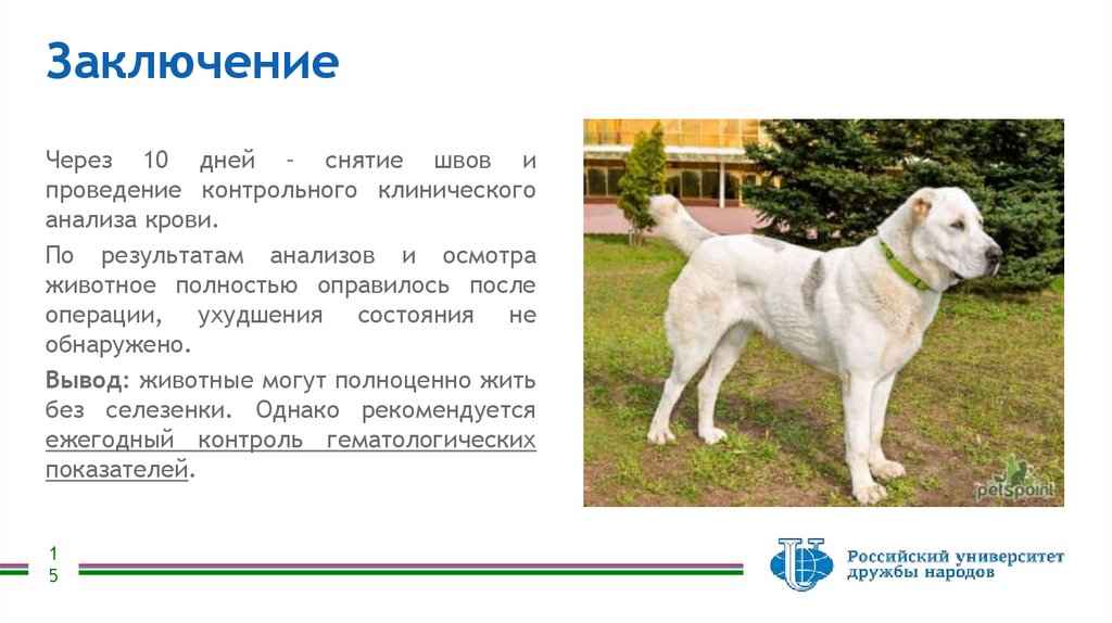 Заключение