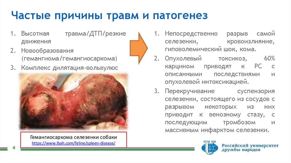 Частые причины травм и патогенез