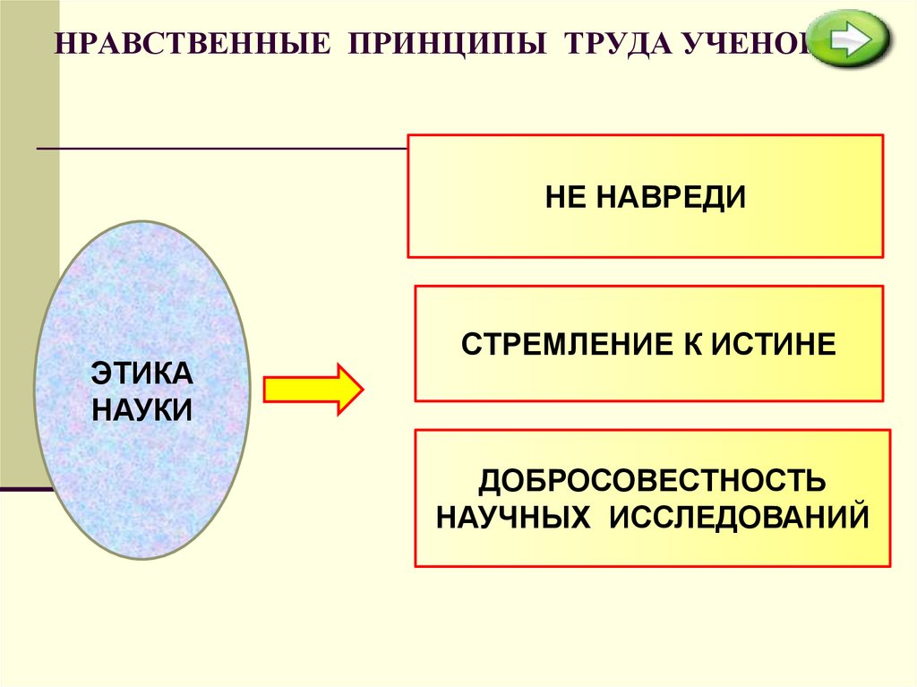 План по обществу наука