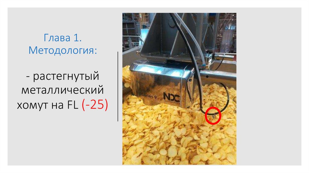 Глава 1. Методология: - растегнутый металлический хомут на FL (-25)