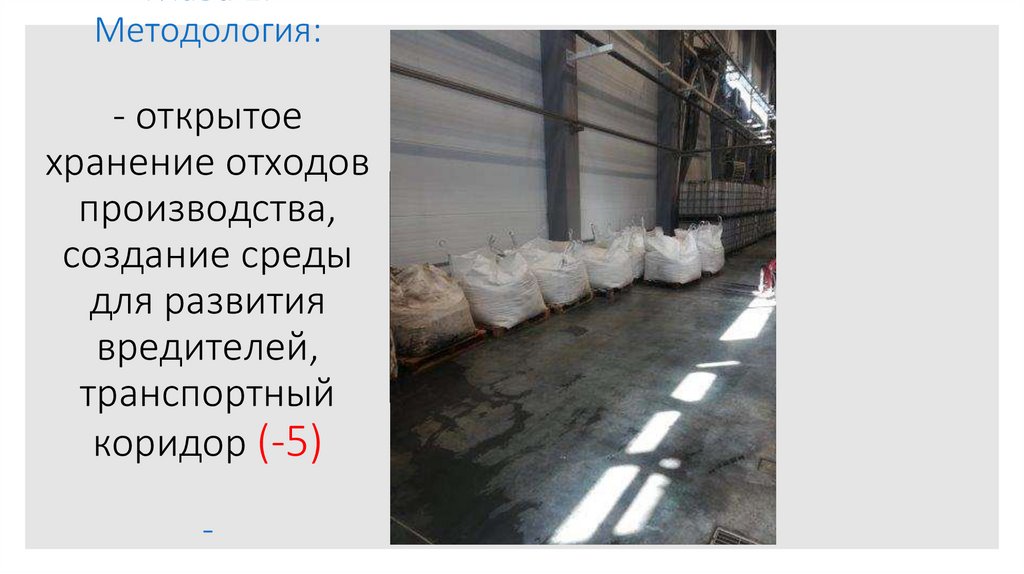 Глава 1. Методология: - открытое хранение отходов производства, создание среды для развития вредителей, транспортный коридор