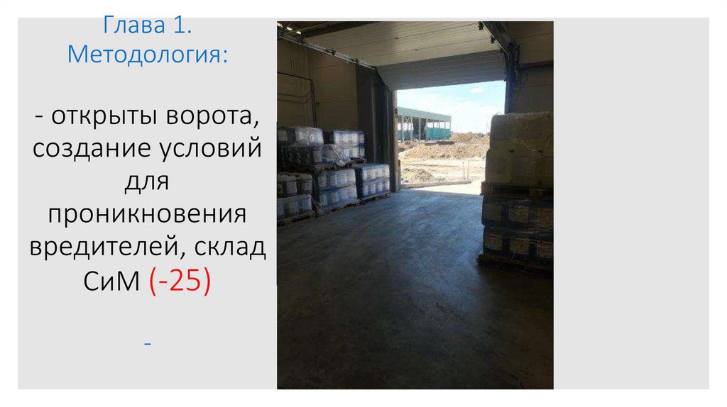 Глава 1. Методология: - открыты ворота, создание условий для проникновения вредителей, склад СиМ (-25) -
