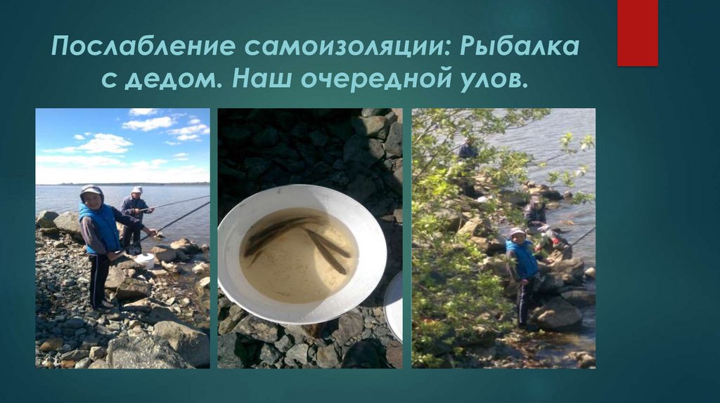 Послабление самоизоляции: Рыбалка с дедом. Наш очередной улов.