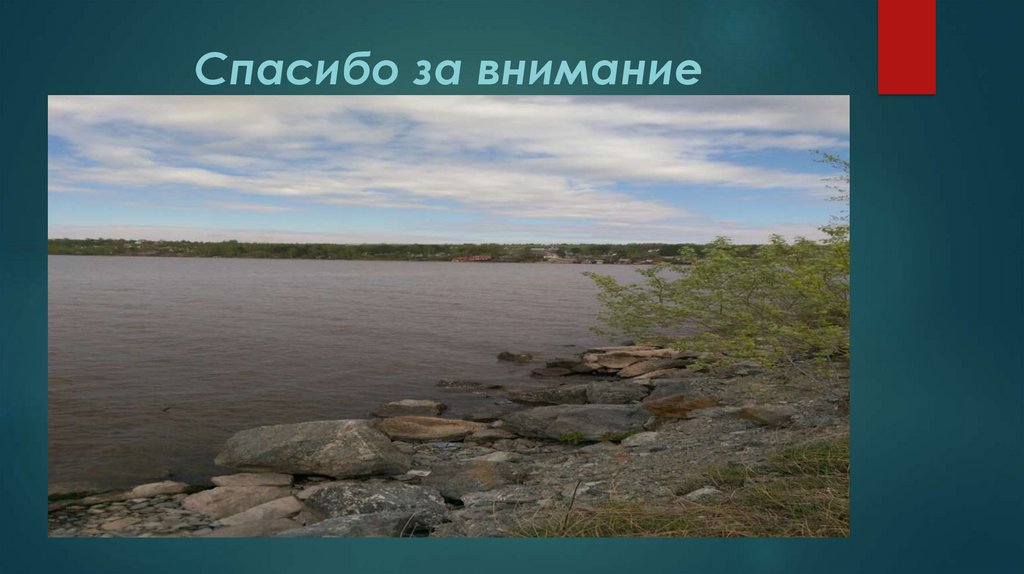 Спасибо за внимание