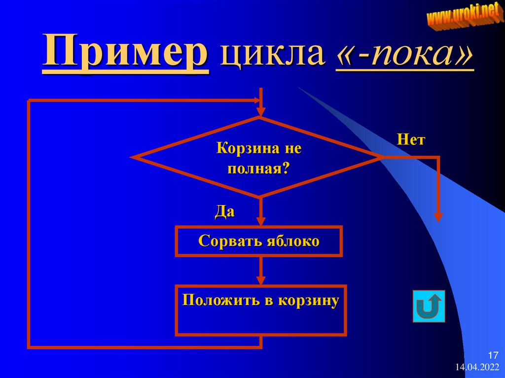 Цикл школа. Цикл пока пример. Пример цикла. Цикл пока и цикл для примеры. Примеры циклов в жизни.