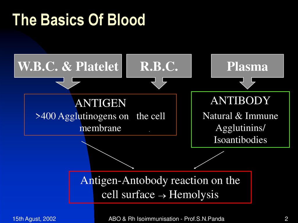 The Basics Of Blood