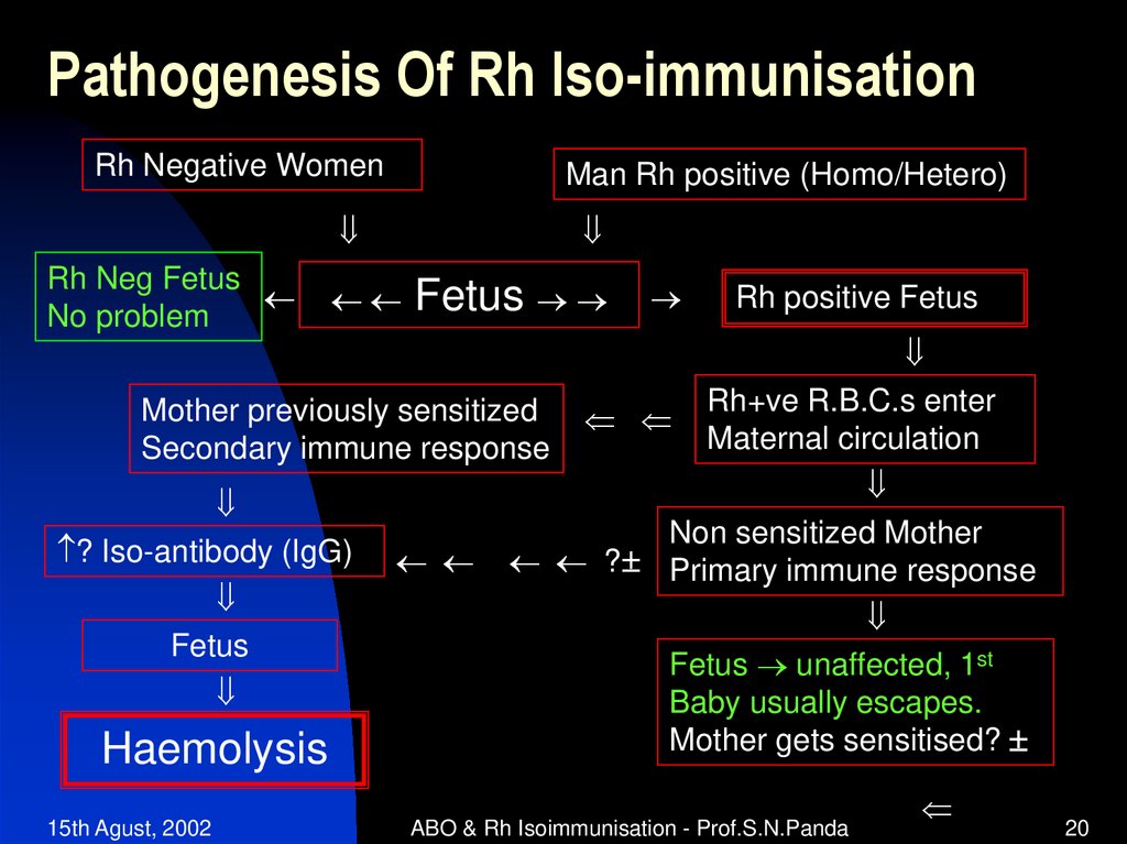 Pathogenesis Of Rh Iso-immunisation