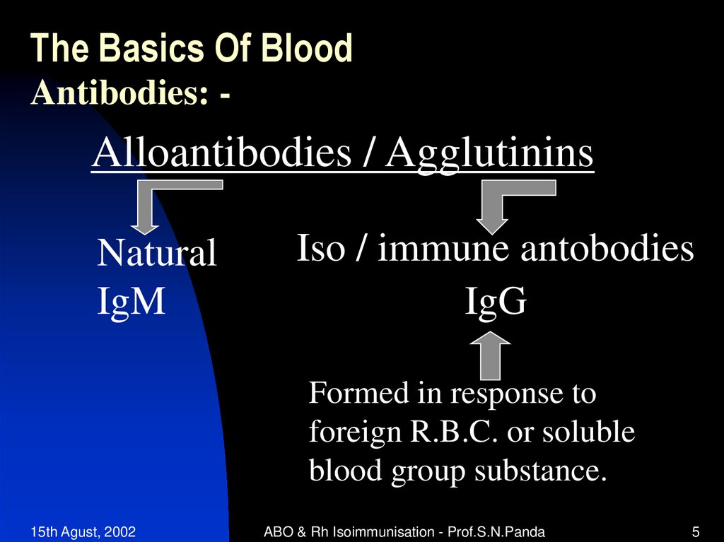 The Basics Of Blood