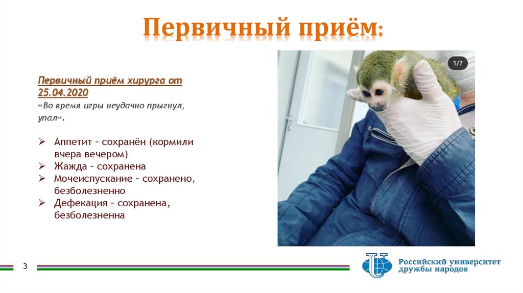 Первичный приём: